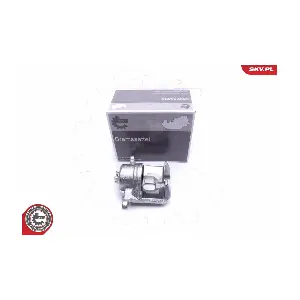 50SKV481 ESEN SKV