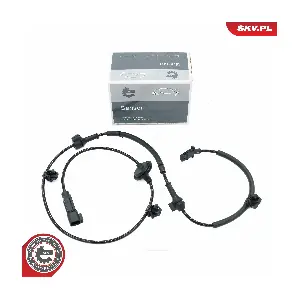 06SKV491 ESEN SKV