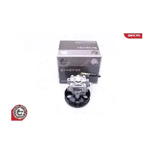 10SKV263 ESEN SKV