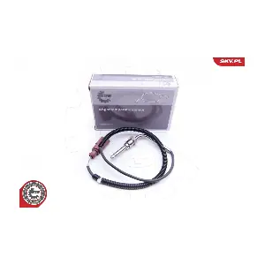 30SKV119 ESEN SKV