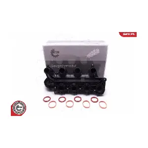 49SKV065 ESEN SKV
