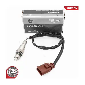 09SKV177 ESEN SKV