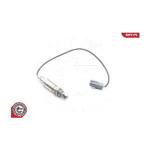 09SKV719 ESEN SKV