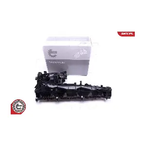49SKV019 ESEN SKV