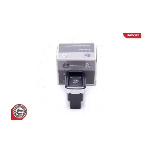 38SKV806 ESEN SKV