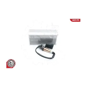 ESEN SKV 09SKV618