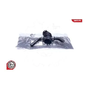 24SKV483 ESEN SKV
