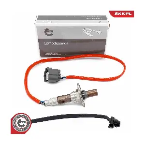 09SKV876 ESEN SKV