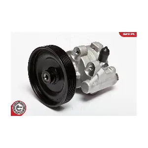 10SKV068 ESEN SKV