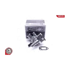 20SKV196 ESEN SKV