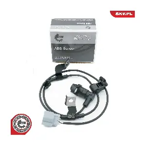 06SKV496 ESEN SKV