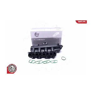 49SKV038 ESEN SKV