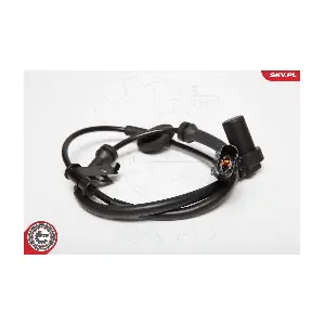 06SKV193 ESEN SKV