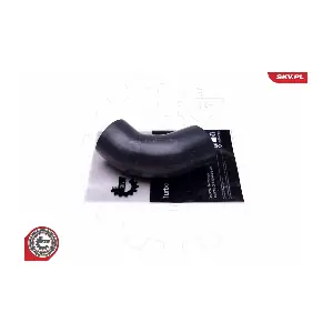 43SKV461 ESEN SKV