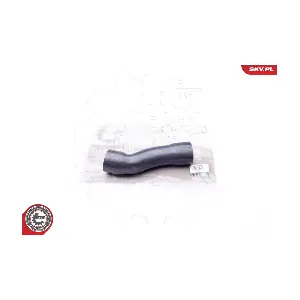 24SKV611 ESEN SKV