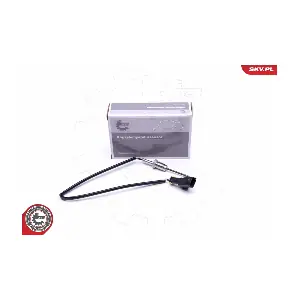 30SKV319 ESEN SKV