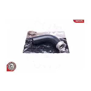 43SKV209 ESEN SKV
