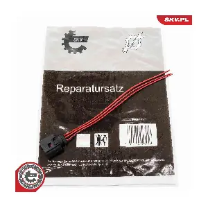 53SKV170 ESEN SKV