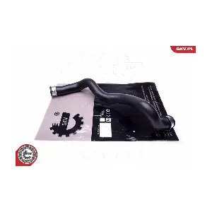 43SKV651 ESEN SKV