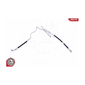 10SKV808 ESEN SKV