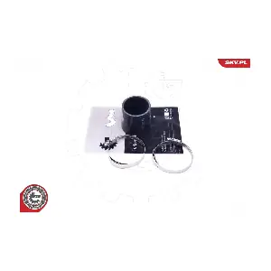 43SKV306 ESEN SKV