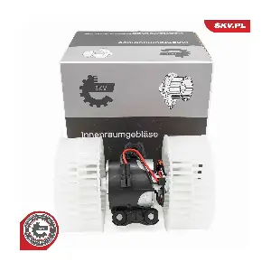 68SKV209 ESEN SKV