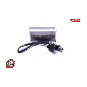 ESEN SKV 09SKV418