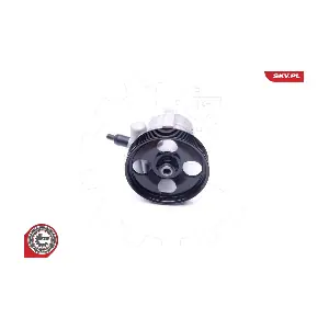 10SKV281 ESEN SKV