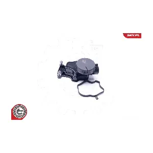 31SKV070 ESEN SKV