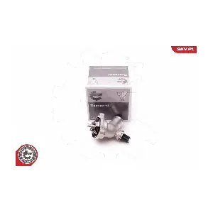 20SKV065 ESEN SKV