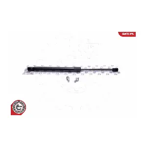 52SKV119 ESEN SKV