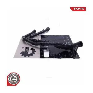 43SKV817 ESEN SKV