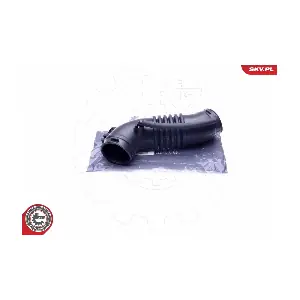 24SKV482 ESEN SKV