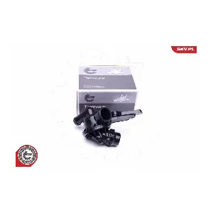 20SKV098 ESEN SKV
