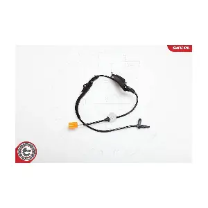 06SKV163 ESEN SKV