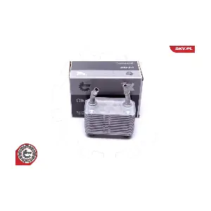 31SKV220 ESEN SKV