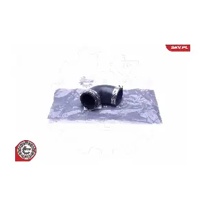 24SKV486 ESEN SKV