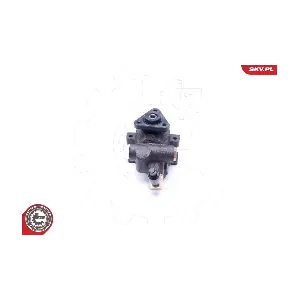 10SKV253 ESEN SKV