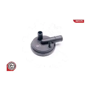 31SKV009 ESEN SKV