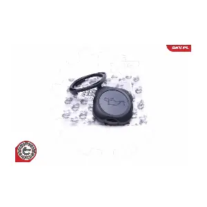 61SKV031 ESEN SKV