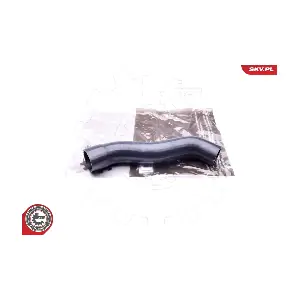 43SKV079 ESEN SKV