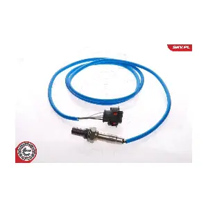 09SKV055 ESEN SKV