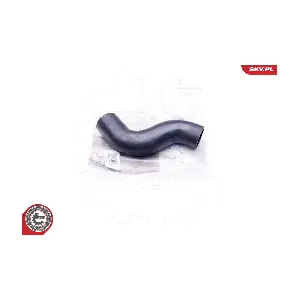 24SKV648 ESEN SKV