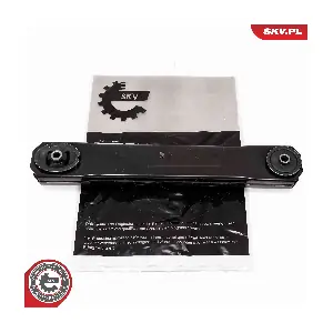 69SKV818 ESEN SKV
