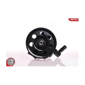 10SKV019 ESEN SKV