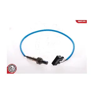 09SKV030 ESEN SKV
