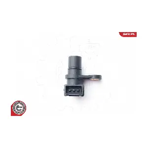 17SKV249 ESEN SKV