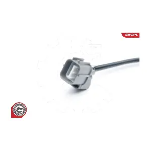09SKV653 ESEN SKV