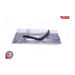 24SKV369 ESEN SKV