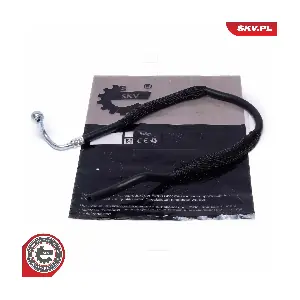 10SKV818 ESEN SKV